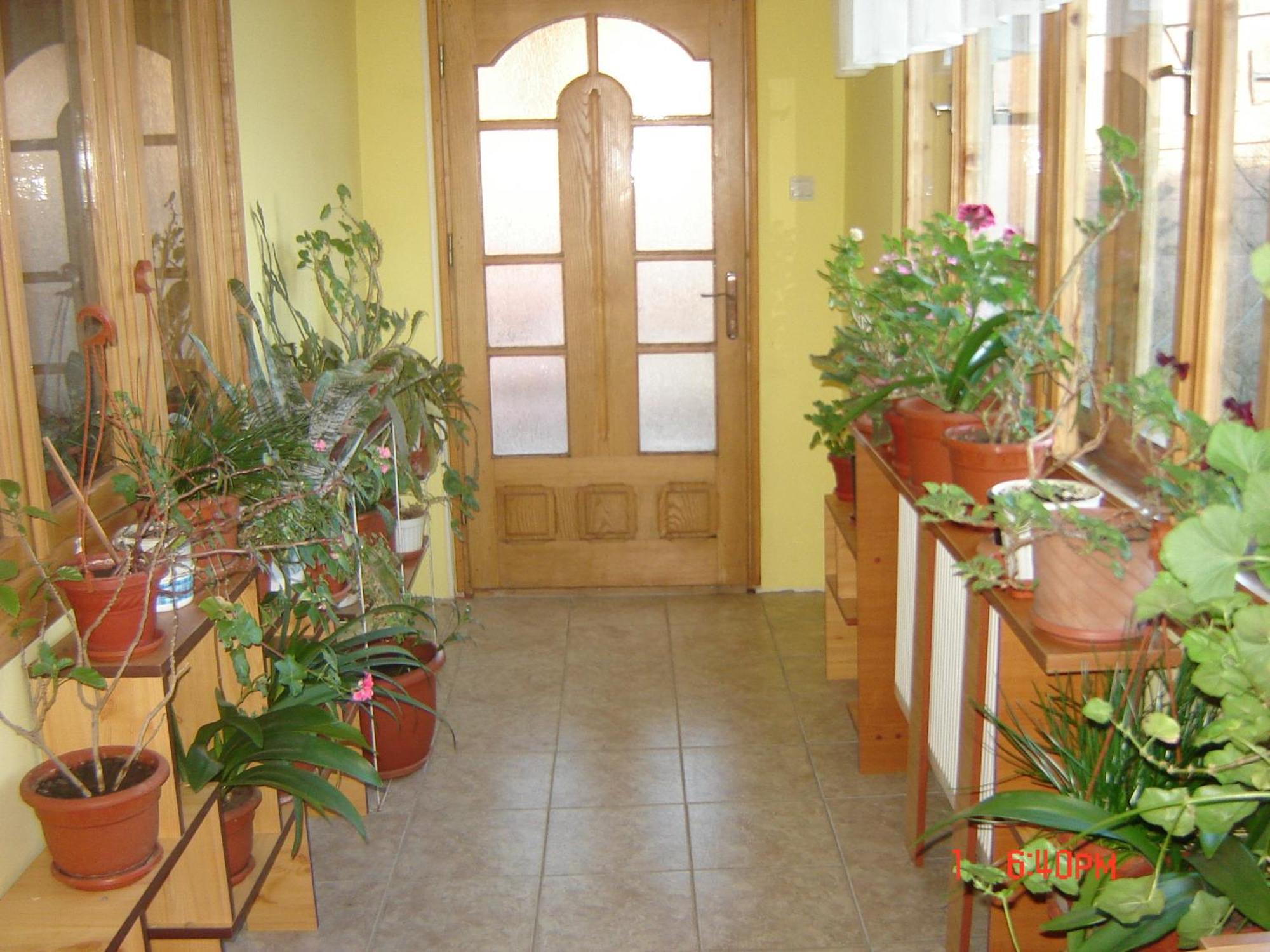 Pensiunea Nicky Oestii Ungureni Exterior foto