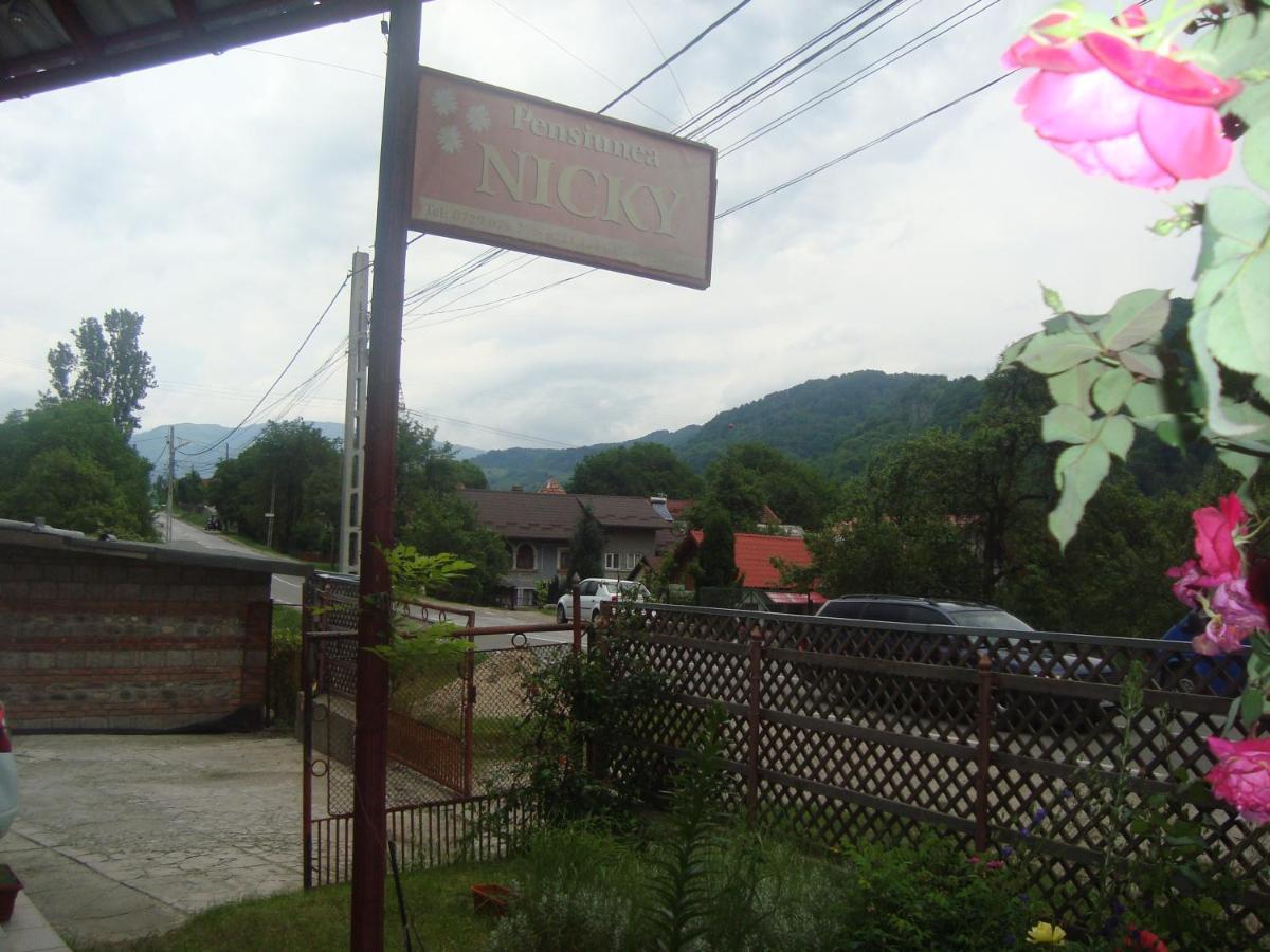 Pensiunea Nicky Oestii Ungureni Exterior foto