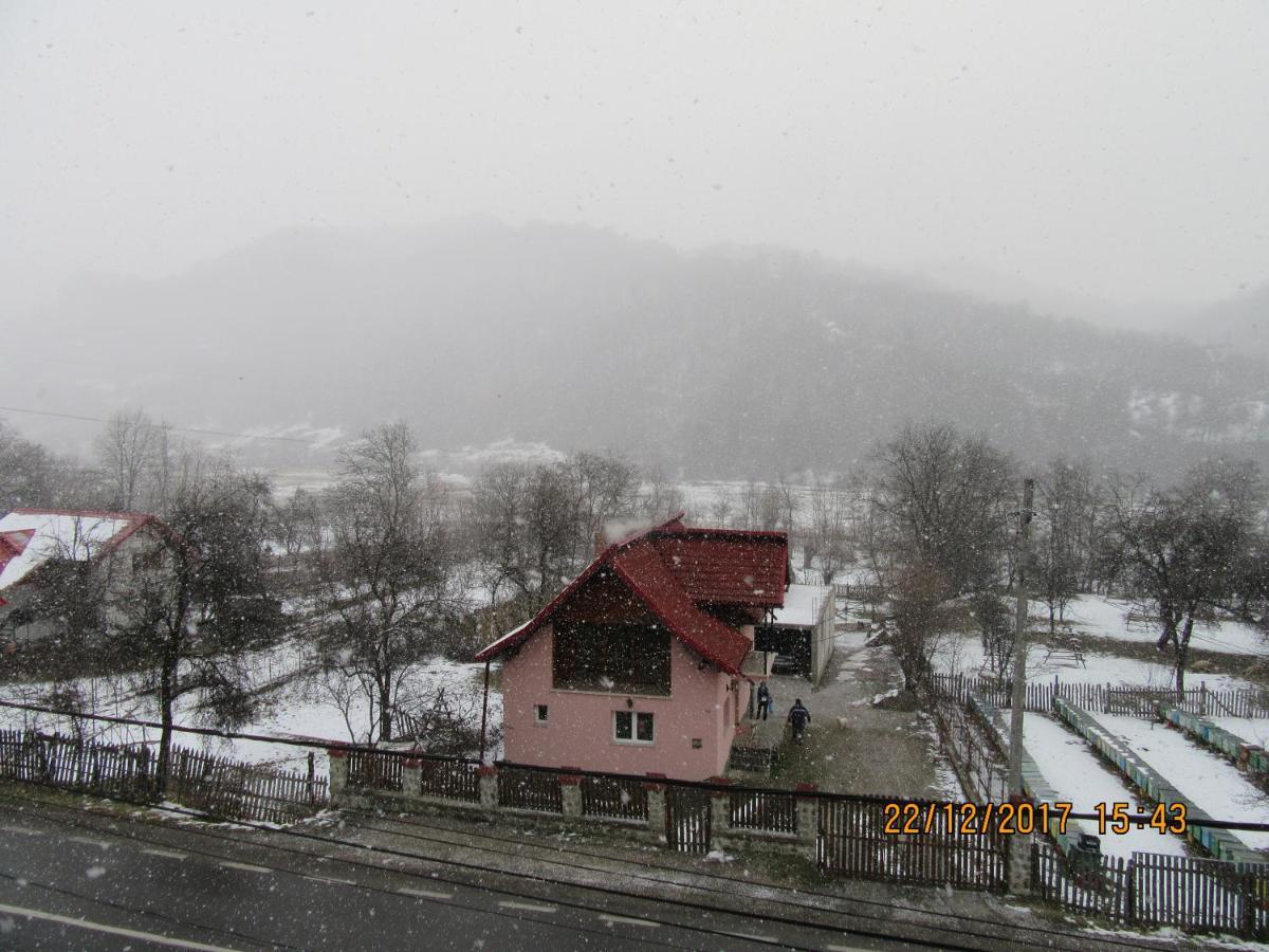 Pensiunea Nicky Oestii Ungureni Exterior foto