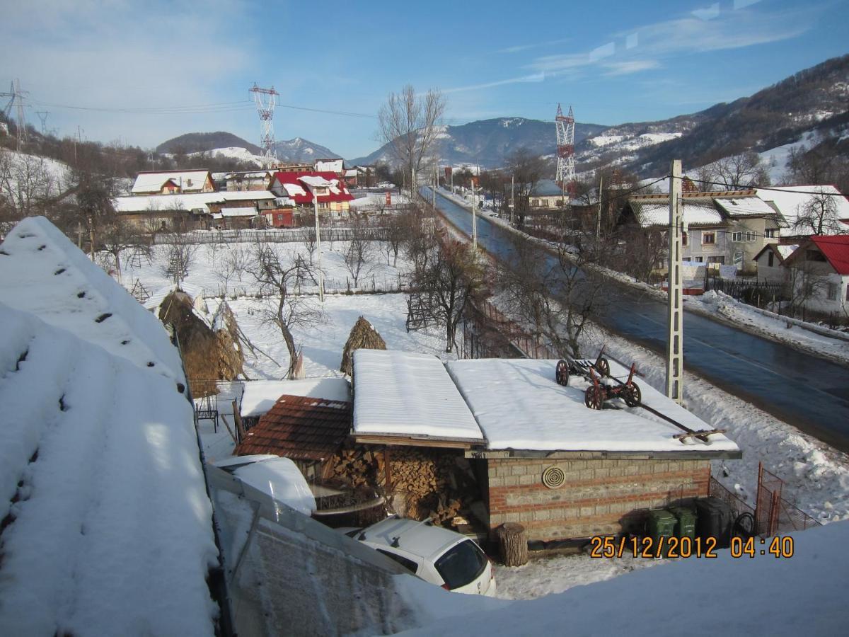 Pensiunea Nicky Oestii Ungureni Exterior foto