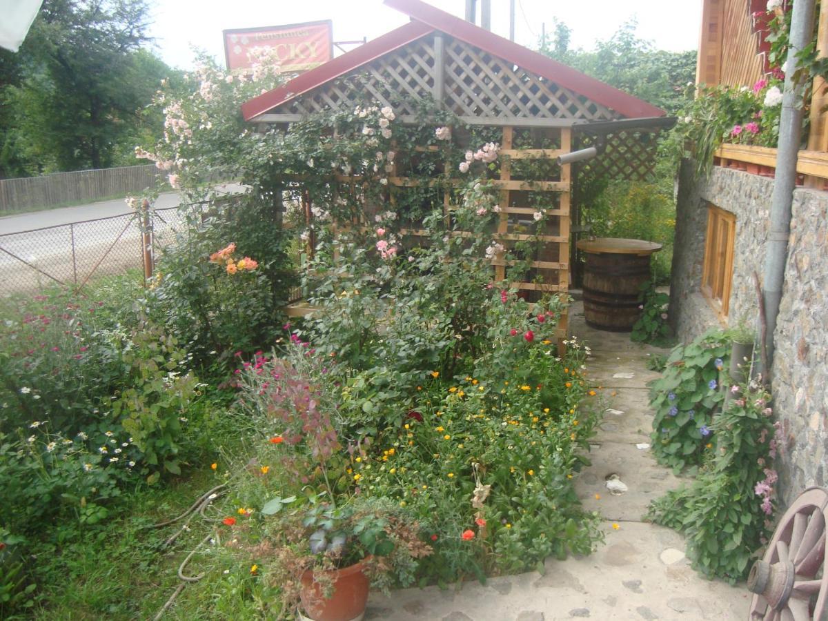 Pensiunea Nicky Oestii Ungureni Exterior foto