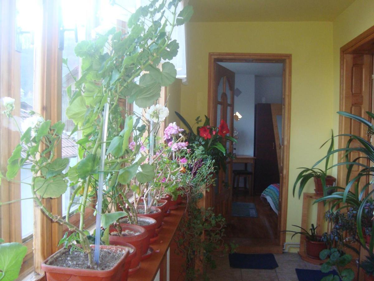 Pensiunea Nicky Oestii Ungureni Exterior foto